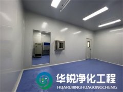 如何選擇適合實驗室的地面材料？